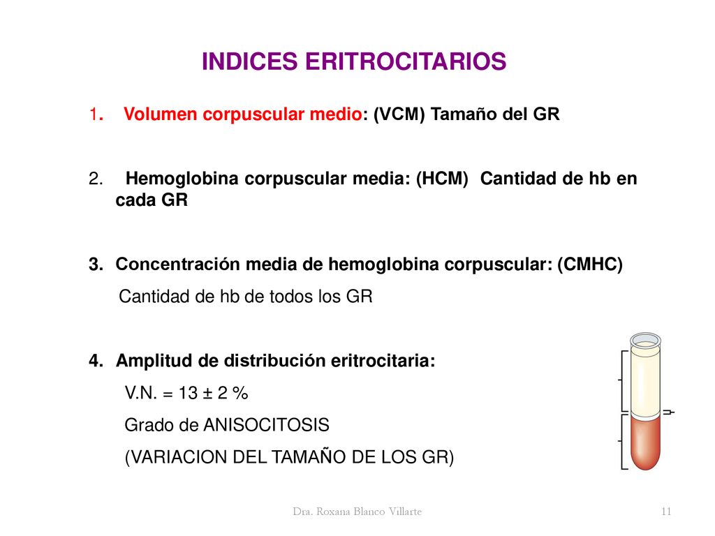concentración corpuscular media de hemoglobina (ccmh)